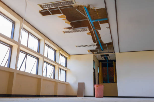 Best Flooded house restoration  in Cadillac, MI