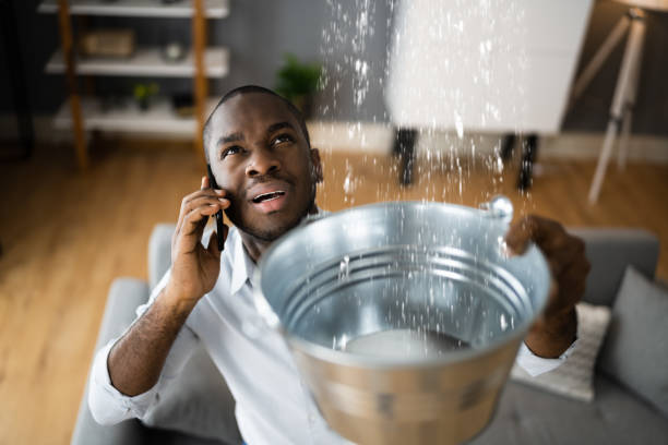 Best Emergency water damage restoration  in Cadillac, MI