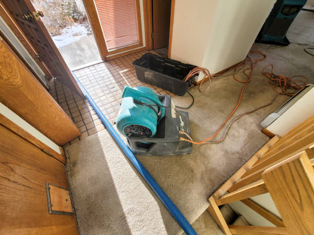 Best Flood restoration services  in Cadillac, MI