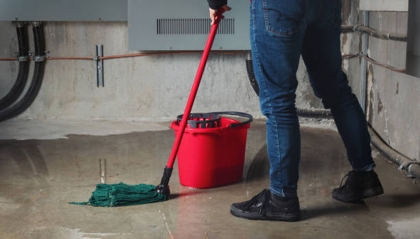 Reliable MI Water damage restoration Solutions
