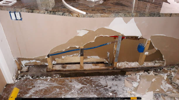 Best Mold removal after water damage  in Cadillac, MI