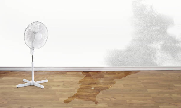 Best Commercial water damage restoration  in Cadillac, MI