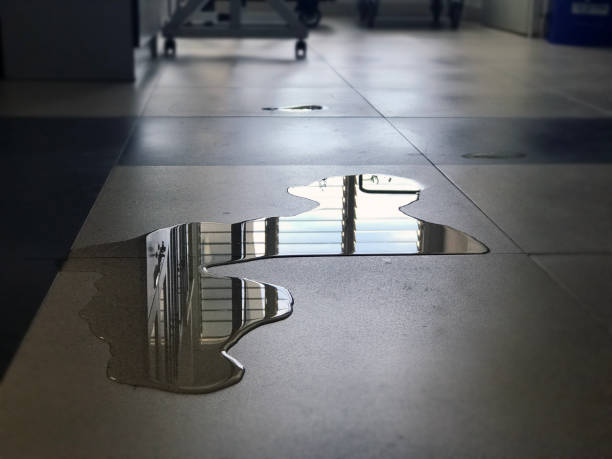 Best Local water damage restoration  in Cadillac, MI
