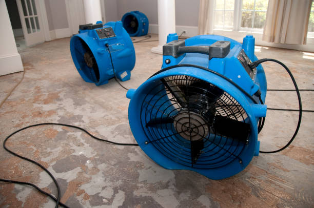 Best Water damage repair service  in Cadillac, MI