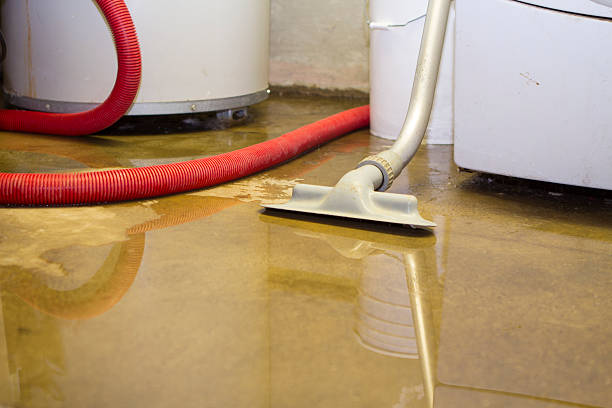 Best 24/7 water damage repair  in Cadillac, MI