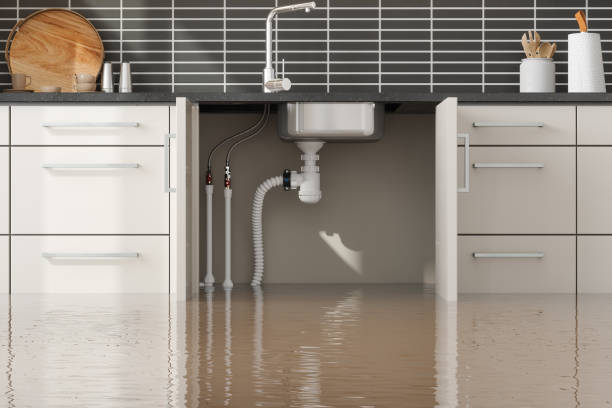 Best Water damage restoration company  in Cadillac, MI