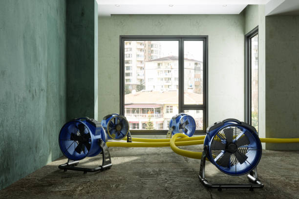 Best Emergency water damage restoration  in Cadillac, MI